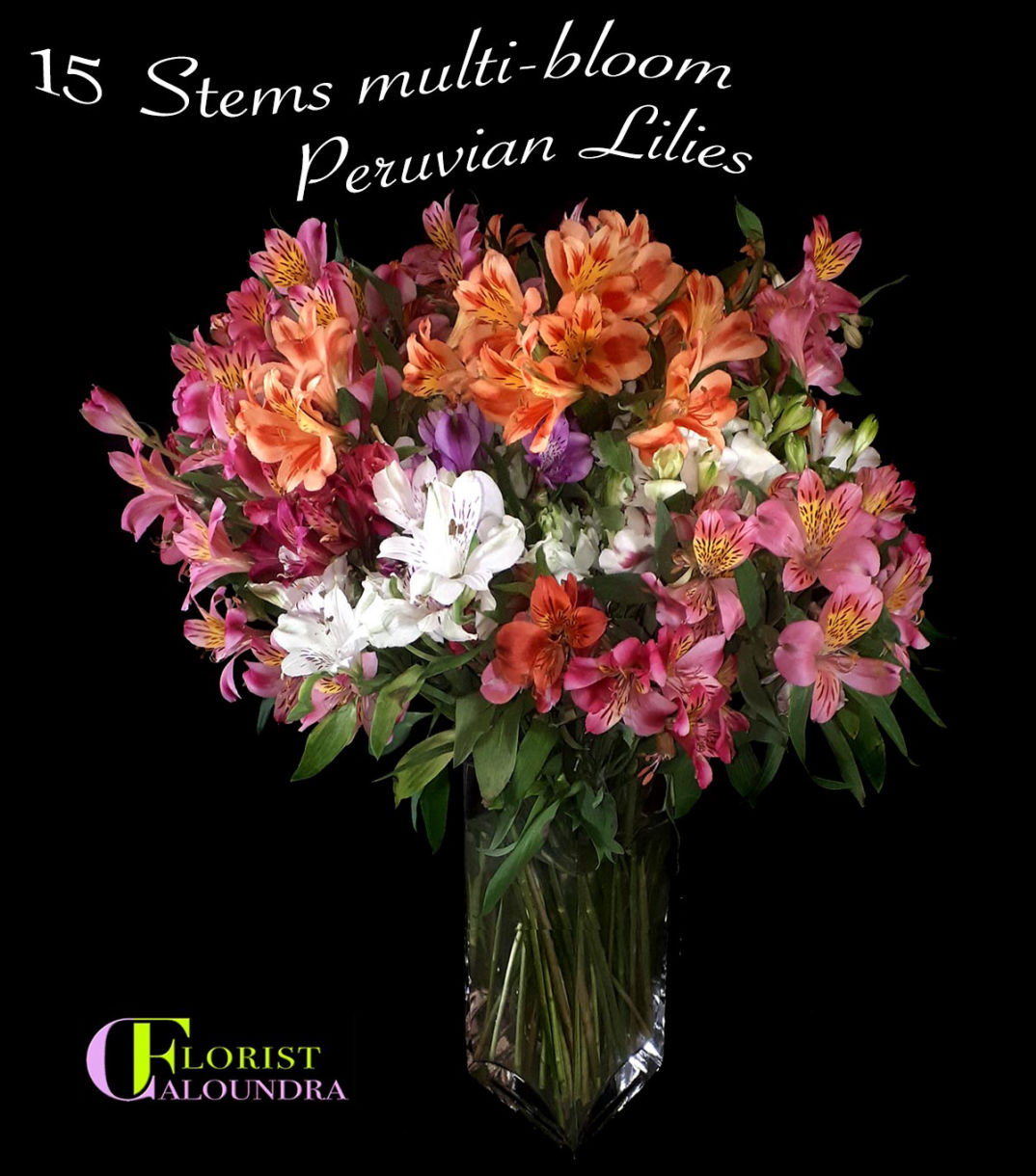 PERUVIAN LILIES